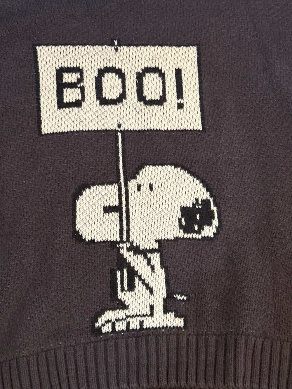 American Eagle Outfitters Black Snoopy 'BOO!' Graphic Button Cardigan - Picture 2 of 7